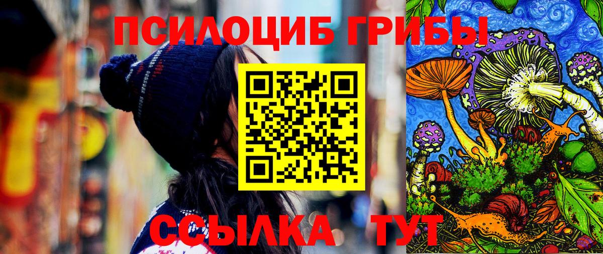 Галлюциногенные грибы мухоморы Благовещенск